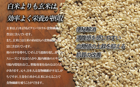 岩手県矢巾町　徳田米の産地より「令和5年産銀河のしずく玄米　5kg」