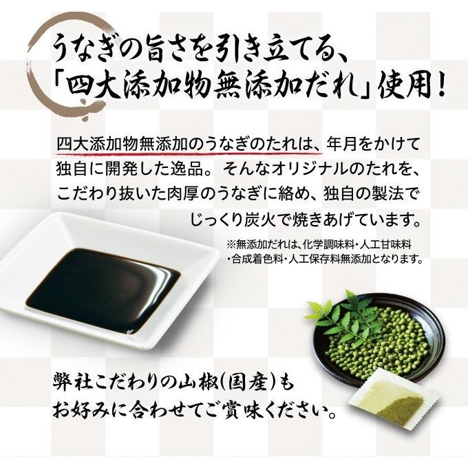 うなぎ 蒲焼 18食 セット 65g  食 ギフト 土用 丑の日 送料無料 くら寿司 鰻 ウナギ 無添加 小分け カット