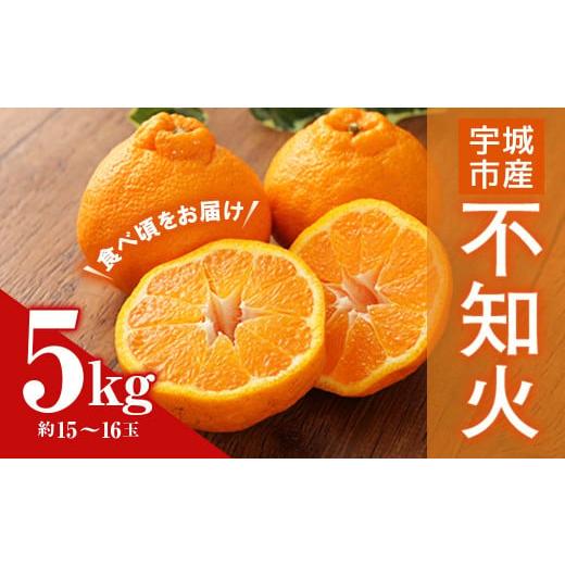 ふるさと納税 熊本県 宇城市 宇城市産 不知火・デコポン 約5kg（15〜16玉）