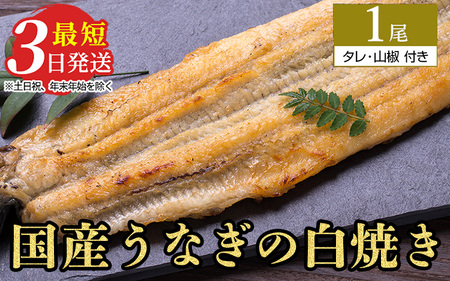 うなぎ白焼き　1尾（120g以上×1尾） メディアに紹介されたうなぎ屋 国産 冷蔵 うなぎ 鰻 ウナギ タレ・山椒つき しら焼き ※着日指定不可 ※離島への配送不可