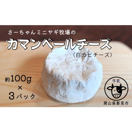 ふるさと納税 岡山県 新見市 カマンベールチーズ 約100g×3パック