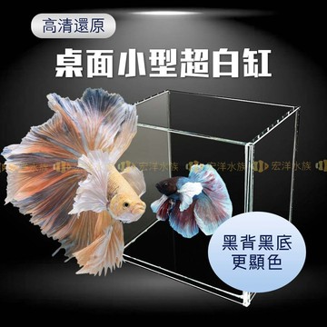 宏洋水族【桌面小型超白缸】黑玻背景-更顯魚體色澤（含上蓋）〞鬥魚缸、水族箱、魚缸、小魚缸、桌缸、懶人魚缸、積木魚缸、缸