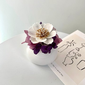 【艸弄花藝】波斯菊-擴香花禮(含香氛精油)｜生日禮物 情人節禮物 閨蜜贈禮 紓壓小物 永生花 乾燥花