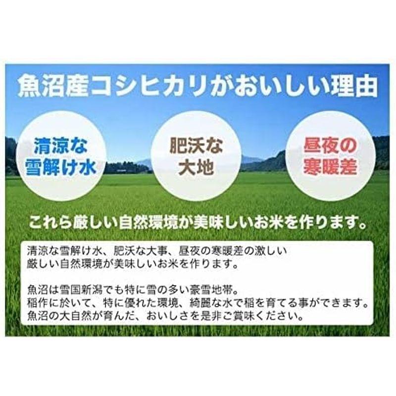 新米 新潟県産 魚沼産コシヒカリ 白米 10kg (5kg×2 袋) 令和5年産