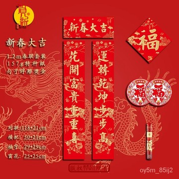 2025年蛇年春節對聯 商品房入戶門  家用新年對聯 全套浮鵰燙金特種紙春聯 X0C9