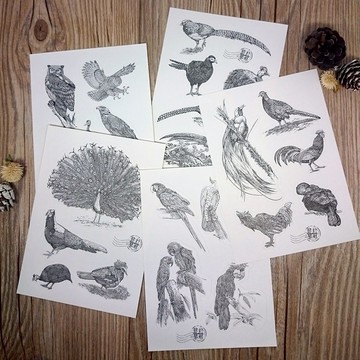 鳥類線繪插圖貼紙組