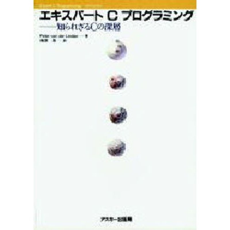 ずっと気になってた エキスパートCプログラミング : 知られざるCの深層