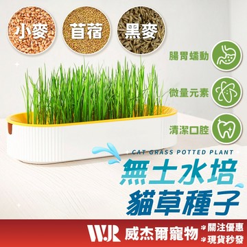 【威杰爾】貓草種子 無土水培 貓咪排毛 貓草盆栽 種貓草 貓草盒 貓草 貓咪化毛 貓蔬菜 小麥 黑麥 苜蓿芽【G016】