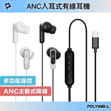 ANC入耳式有線耳機 主動式降噪 Type-C 可線控 適用iPhone平板筆電