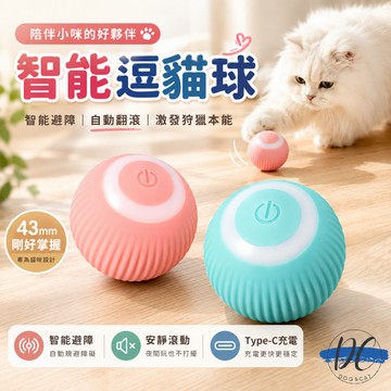 【DC寵物有發票】🐾引力滾滾球 智能逗貓球 自動逗貓球 逗貓神器 USB充電貓玩具球 寵物玩具 自嗨電動玩具 A139