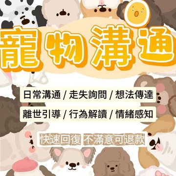 【快速回復】寵物溝通丨動物溝通丨感應想法丨你的乖狗狗 貓貓丨日常行為解讀丨走失詢問丨離世引導丨占卜 不滿意全退💕