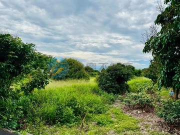 專任~彰化芬園@寶山國小旁2.3分平坦農地｜彰化縣芬園鄉圳墘段