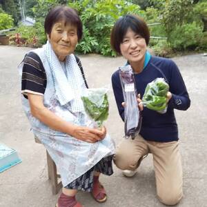 新鮮野菜の詰め合わせ