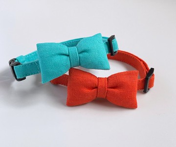 彩色絲帶領 橘色/綠松石藍