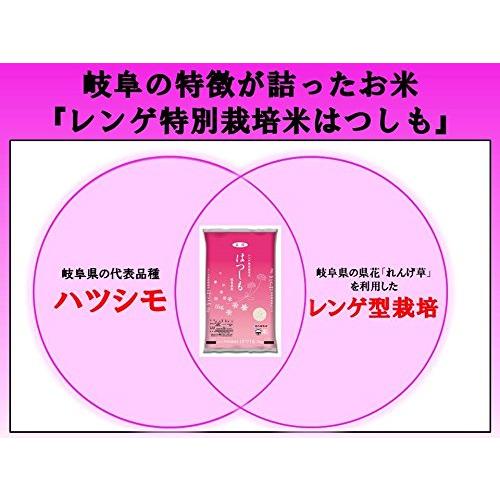 岐阜県産 白米 はつしも レンゲ特別栽培米 5kg令和4年