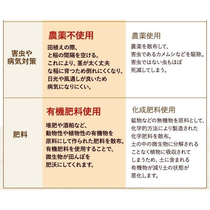 発芽玄米 無農薬 2Kg つや姫 宮城令和5年産 特別栽培米 真空パック