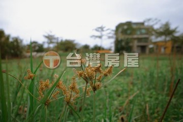 羅東運動公園稀有農地釋出/面寬18米好利用｜宜蘭縣羅東鎮北成一段