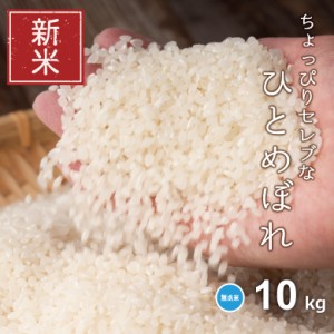 新米 米 お米 10kg ちょっぴりセレブな ひとめぼれ 無洗米 国内産 令和5年産 5kg×2袋 こめたつ