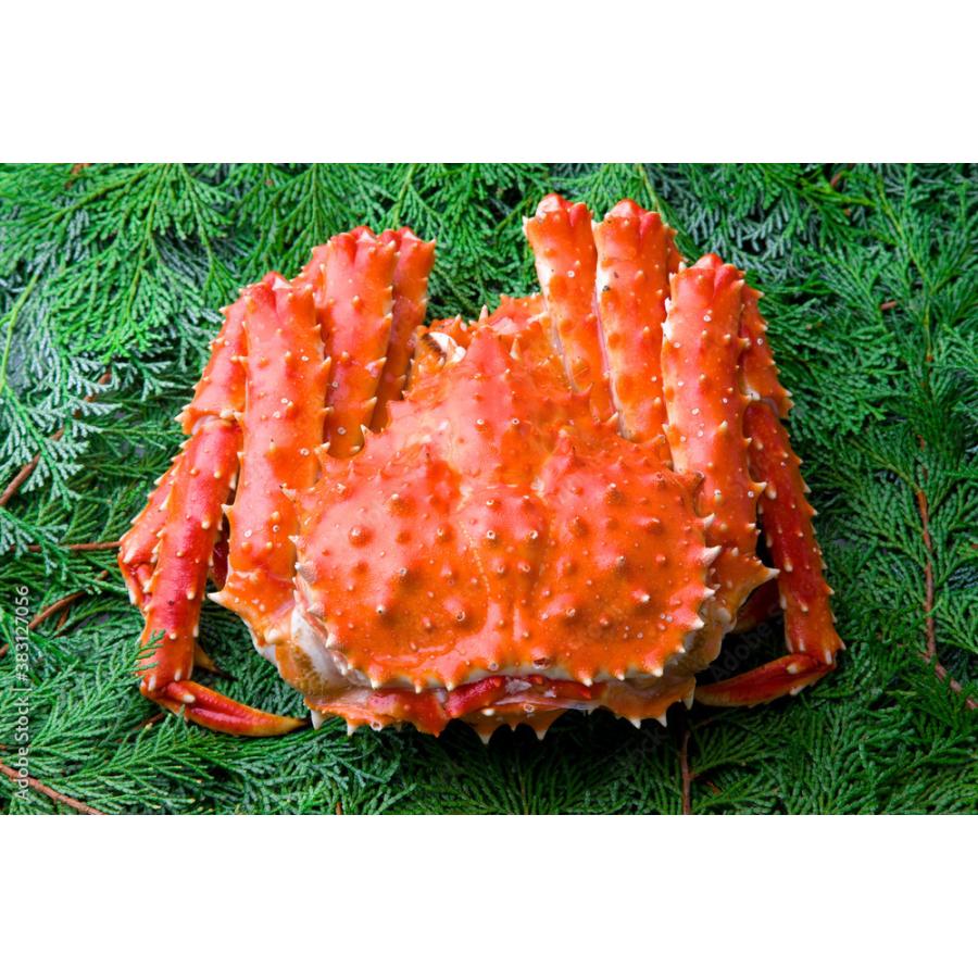 　タラバガニ 脚 　約1ｋｇ　特選品 カニ 天然 たらば蟹