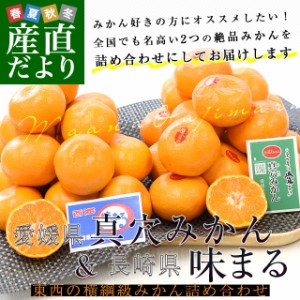 愛媛県 JAにしうわ 真穴みかん＆長崎県 JAながさき西海 味まる　約2.8キロ(各1.4キロ×2) LからMサイズ 送料無料 ミ