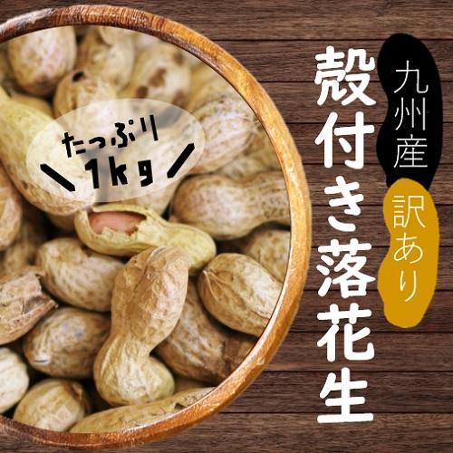 訳あり はねだし 国産 殻付き落花生 1kg