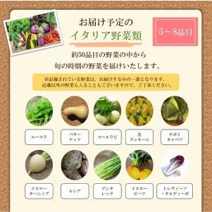 ふるさと納税 かほくイタリア野菜 旬のおまかせBOX（5〜8種類） 山形県河北町