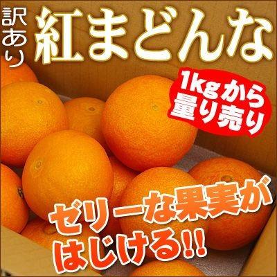温州みかん＜南柑20号＞(秀品) 約5kg【12月中旬頃より発送開始