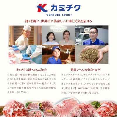 ふるさと納税 南さつま市 豚ロース しゃぶしゃぶ用 1.5kg カミチク 南さつま市