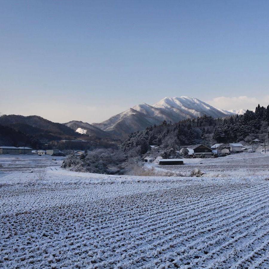 仁多米 コシヒカリ 5kg 島根県産 令和5年産 米 お米 白米 うるち米 精白米 ごはん