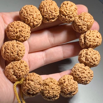 尼泊爾大金剛菩提子手串五星蜂窩爆肉雙龍紋男士佛珠高密沉水文玩