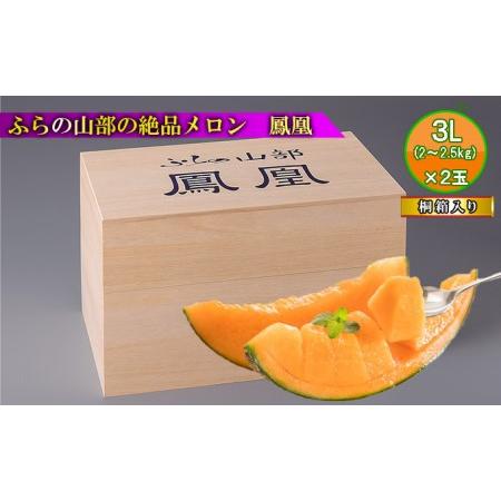 ふるさと納税 〈桐箱入〉ふらの山部の絶品メロン『鳳凰』3L（2〜2.5kg）×2玉（坂口農産） 北海道富良野市