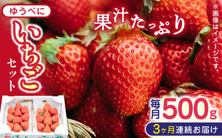 熊本県産 ゆうべに いちご  セット 250g×2P 農園直送 産地直送 熊本県産いちご 山都町産いちご 完熟いちご いちご狩り 家庭用いちご 贅沢いちご いちご 甘いいちご[YBI045]