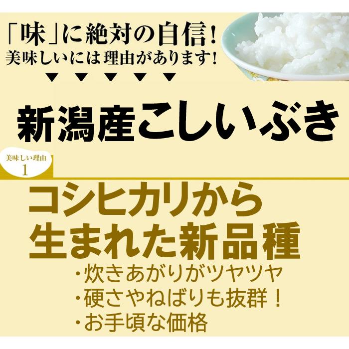 新潟産 こしいぶき 5kg  令和5年 米 新潟 送料無料