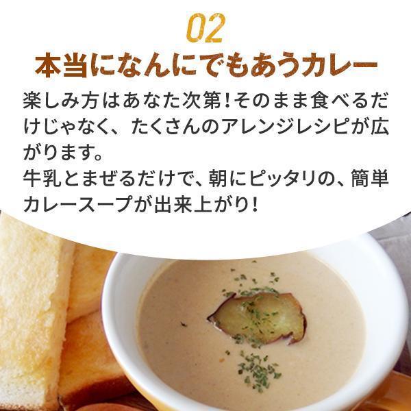 カレー ごと カレー レトルト  国産 保存料 無添加 五島 鯛のだし カレー ギフト 御歳暮 内祝い