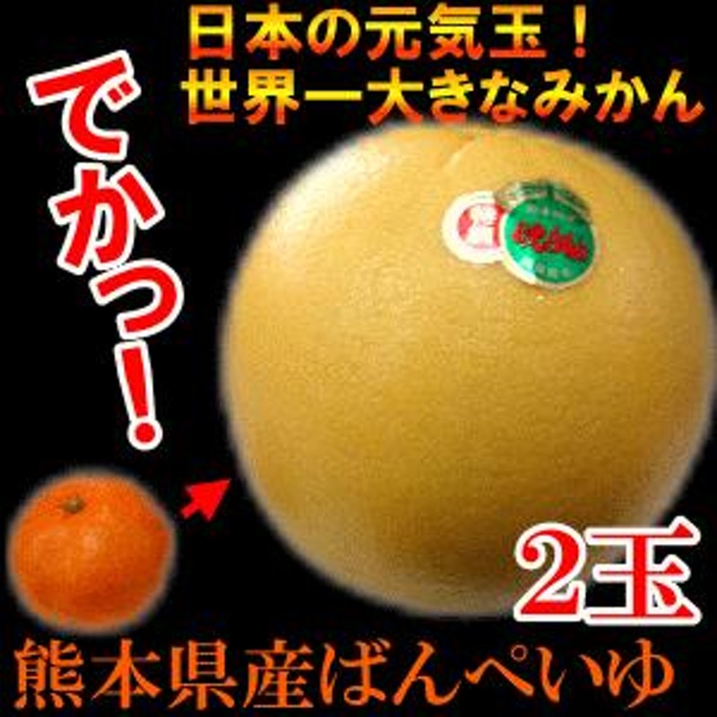 熊本県産晩白柚(ばんぺいゆ)２玉(約２.２kg〜２.５kg)ご家庭用にもサプライズな贈り物にも♪　LINEショッピング