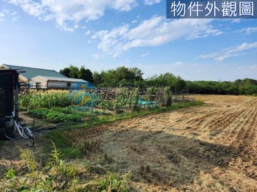 降價!獨家!柳營果毅後3分2漂亮農地｜台南市柳營區果毅後
