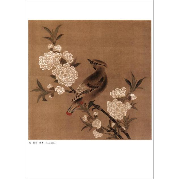 宋人花鳥冊頁1　中国古代絵画精品集　中国絵画 宋人花#40479;册#39029;1　中国古代#32472;画精品集