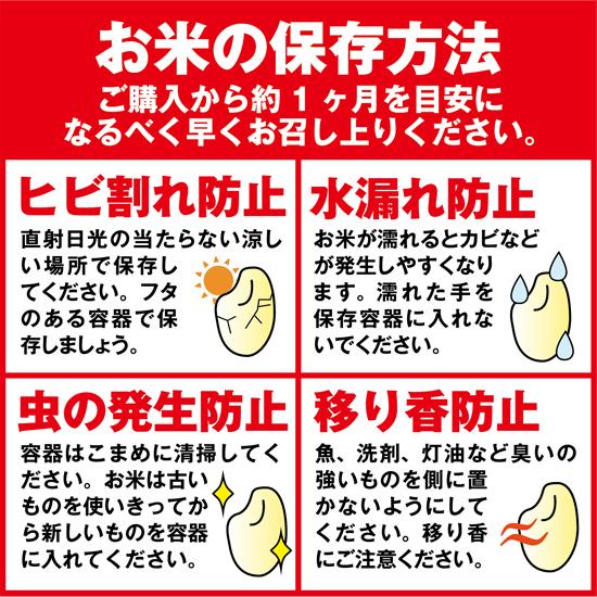 農家のお米直送 令和5年産 はえぬき（精米） 10kg