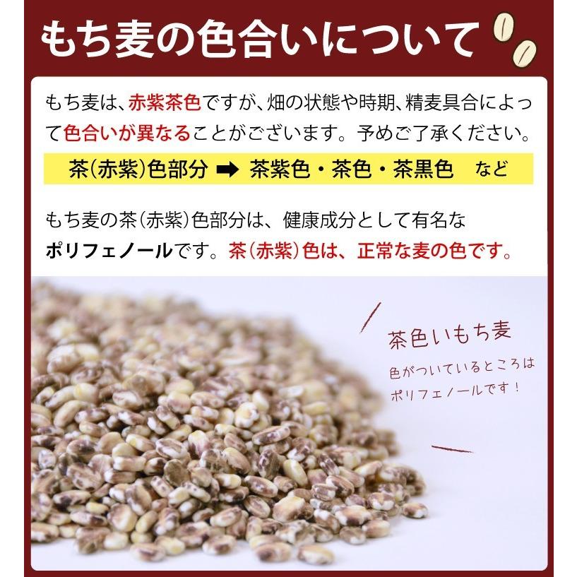 紫もち麦 500g 国産 ダイシモチ 食物繊維 ポリフェノール β-グルカン 自然食品 大麦 押し麦