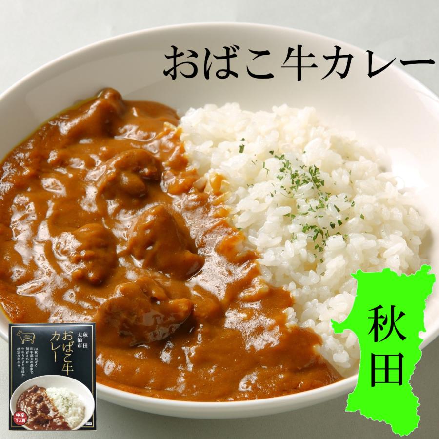 秋田 大仙市 おばこ牛カレー 1人前 中辛