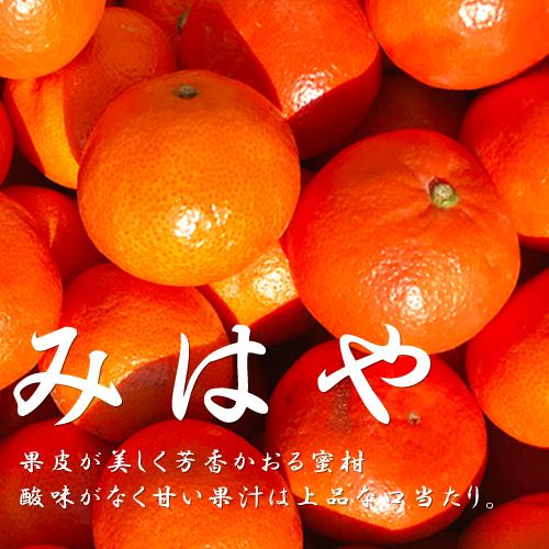 みはや　お試し２キロ前後　熊本産　新品種　酸味が少なく甘くて美味しい　ご家庭用　訳あり