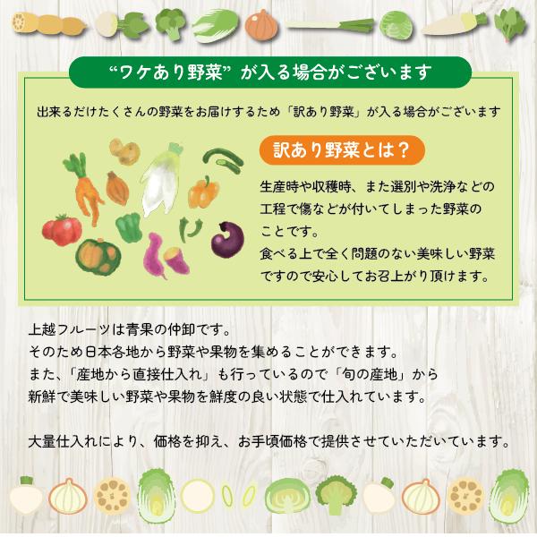 ｜送料無料｜12品 使い切り ちょこっと 野菜詰め合わせ ｜ 野菜セット 詰め合わせ 新潟 旬 野菜 フルーツ