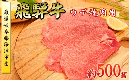 海津市産ウデ焼肉オリジナルカット 