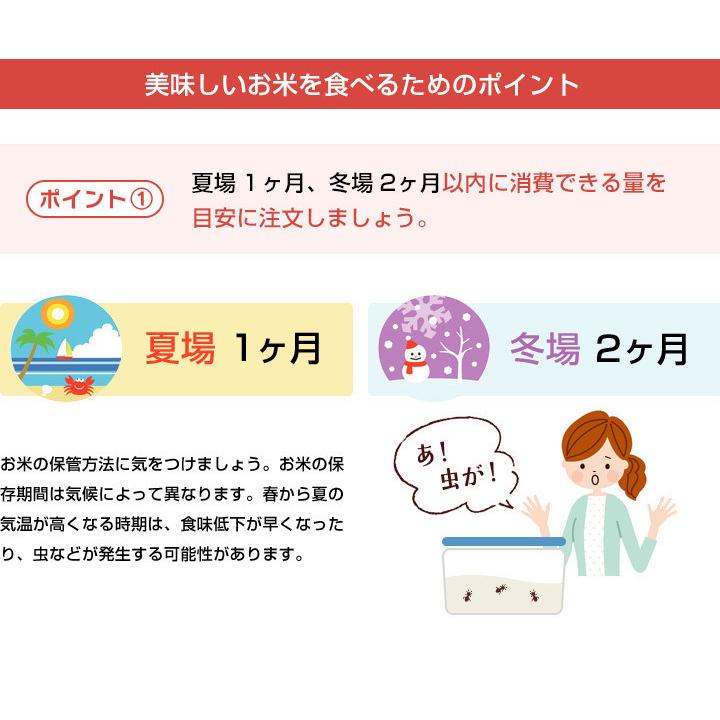 新米　米 お米 2kg 送料無料★夢しずく 無洗米★ 佐賀県産　令和5年度 2kg