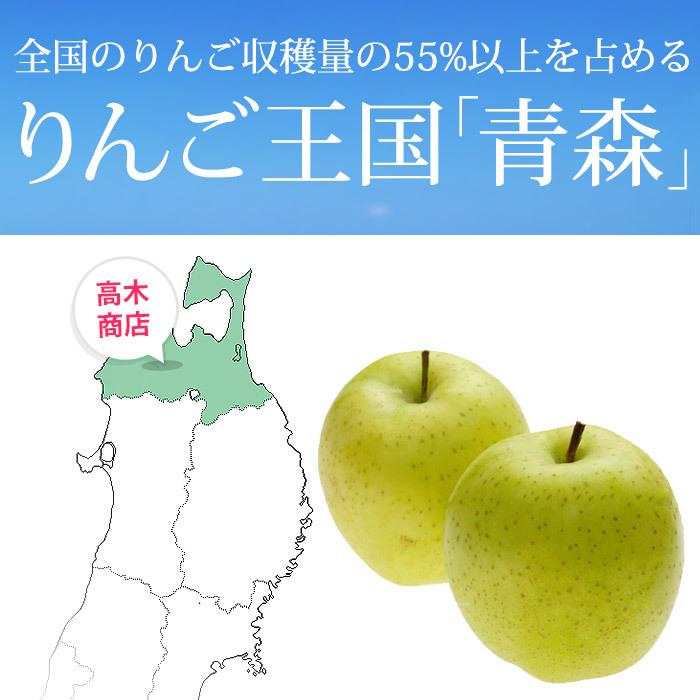 りんご 青森県産 王林 訳あり 約5kg 16〜24玉