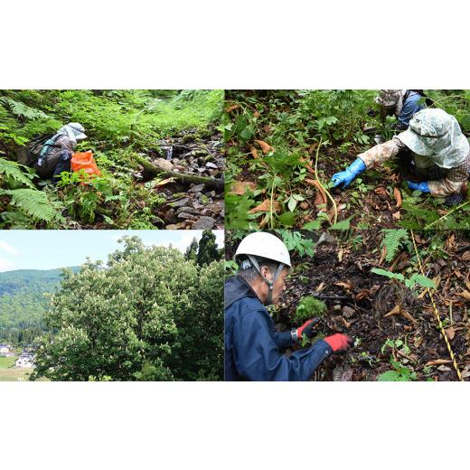 ふるさと納税 山形県 鶴岡市 冬限定　行沢のとちもち（真空5個入り×6パック）　産直あさひ・グー