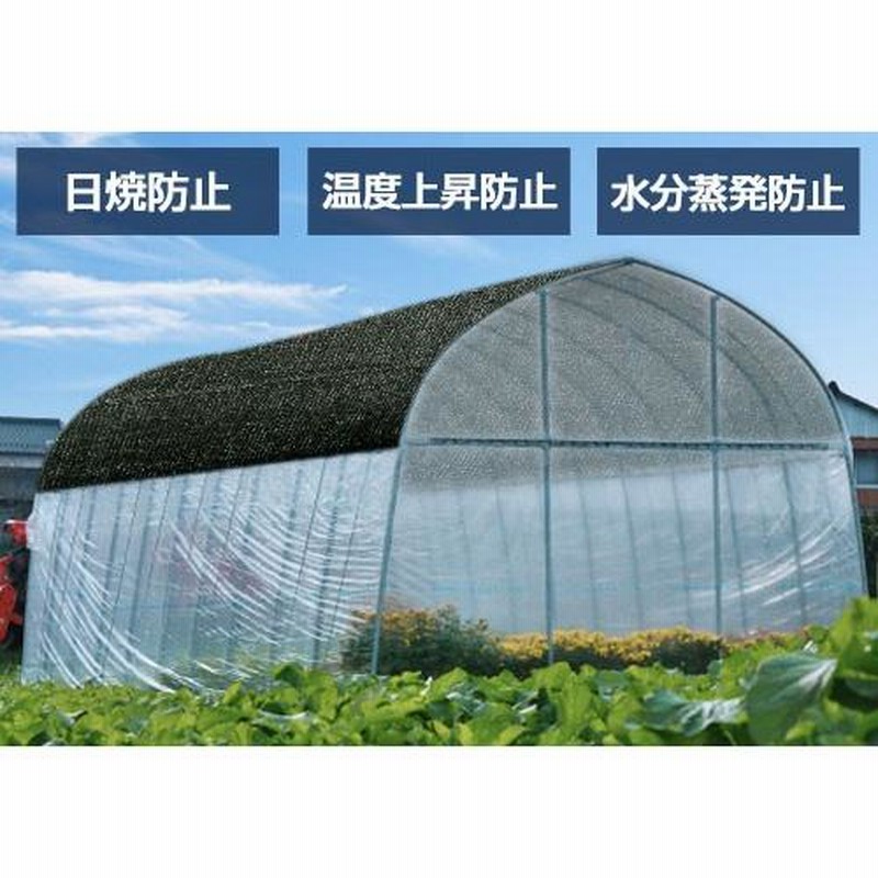 豪華で新しい 遮光ネット 黒 1m×50m×4本 200m 遮光率50% 農業用遮光シート 日よけ 日除け 農業用ネット 