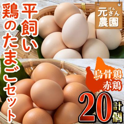 ふるさと納税 佐伯市 元さん農園 平飼い鶏のたまごセット (合計20個・烏骨鶏たまご10個・赤鶏たまご10個)