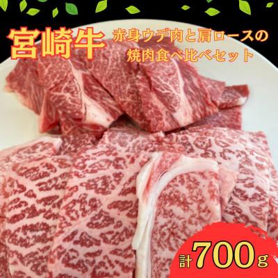 ふるさと納税 串間市 宮崎牛赤身ウデ肉400gと肩ロース300gの焼肉食べ比べセット(合計700g)(串間市)