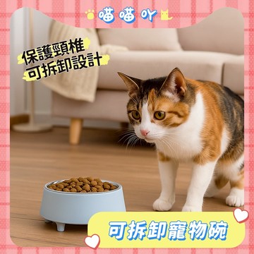 貓碗 寵物碗 可拆卸寵物碗 狗碗 四腳寵物碗 貓咪護頸碗 貓食盆 寵物餵食碗 寵物飲水碗 不鏽鋼寵物碗